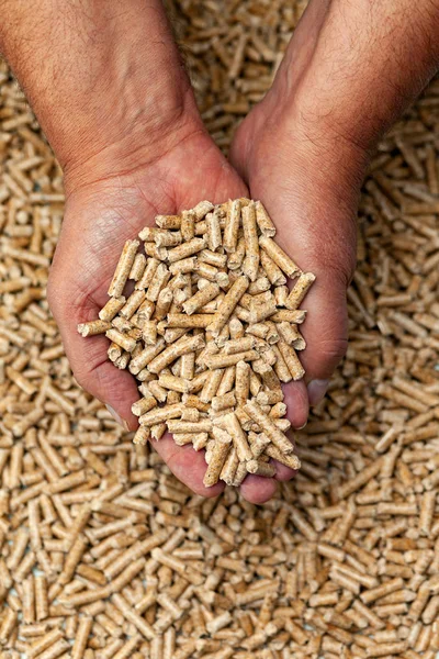 Alternative Biofuel Sawdust Wood Pellets Hands — Stock Photo, Image