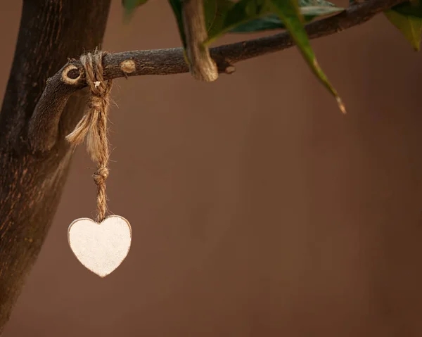 Wooden Heart Hanging Garden Branch Tree — Stock Photo, Image
