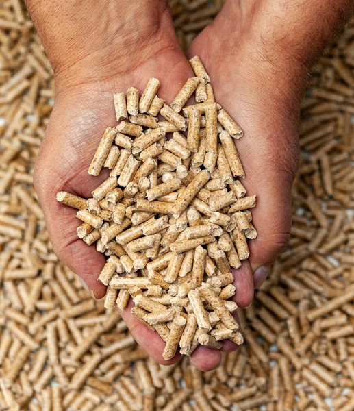 Alternative Biofuel Sawdust Wood Pellets Hands — Stock Photo, Image