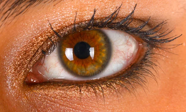 Menschliches Auge Detail Weibliches Makroauge Nahaufnahme — Stockfoto