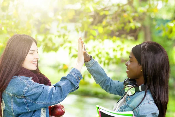 Dua siswa, Kaukasia dan Afrika, tinggi lima konsep . — Stok Foto