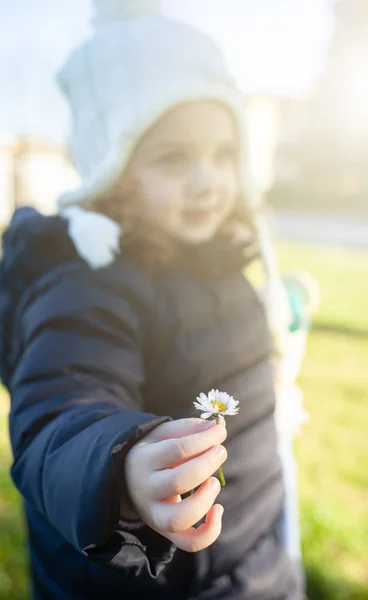 Niña niño sosteniendo una flor de margarita . —  Fotos de Stock