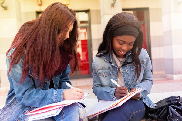 二人の若い女性がベンチで勉強する. — ストック写真