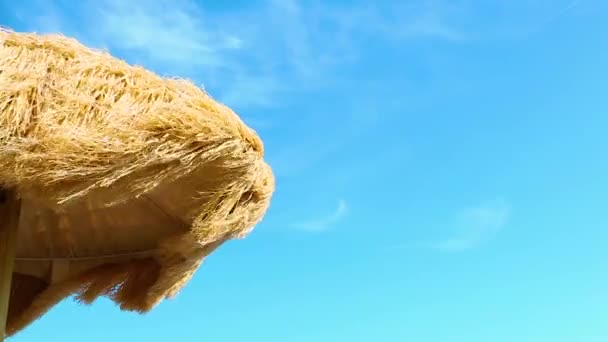 从下面欣赏美丽的茅草伞在海滩上 伟大的娱乐和放松 — 图库视频影像