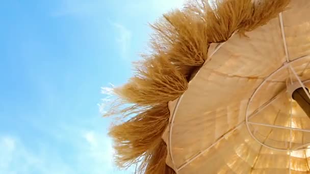 Θέα Από Κάτω Από Τις Όμορφες Ψάθινες Ομπρέλες Στην Παραλία — Αρχείο Βίντεο
