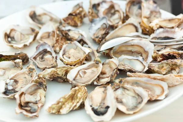 Rauwe verse oesters in een witte plaat. — Stockfoto