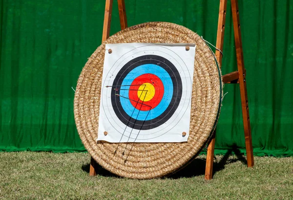 Flechas incrustadas en la fila de objetivos de tiro con arco . — Foto de Stock
