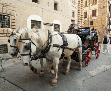 Floransa, İtalya - 04 Kasım 2017: turistler turistik şehir merkezinde bir at arabasıyla turneye çıktılar.