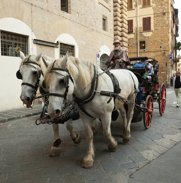 Florence Italy November 2017 Tourists Touring Horse Carriage Touristic City — Stock Photo, Image