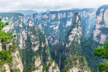 Manzara Zhangjiajie National Forest Park, UNESCO Dünya Miras Listesi, Wulingyuan, Hunan, Çin