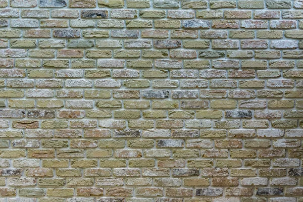 Tle Kolorowych Cegieł Muru — Zdjęcie stockowe