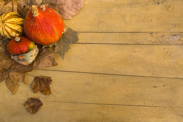 Pomarańczowe Dynie Raw Liści Jesienią Drewniany Stół Jesień Ogród Tło — Zdjęcie stockowe