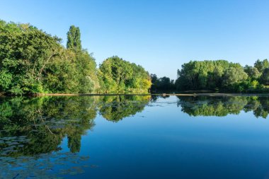 Sakin manzara mavi canlı gökyüzü ve ağaçları, simetrik olarak su içinde Burgundy yansıması ile River'da. Fransa, Bourgogne.