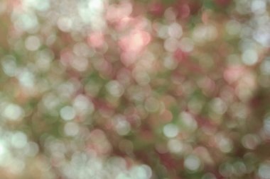 Güzel renkli soyut ilkbahar ve yaz arka plan, bokeh ağaçlarından