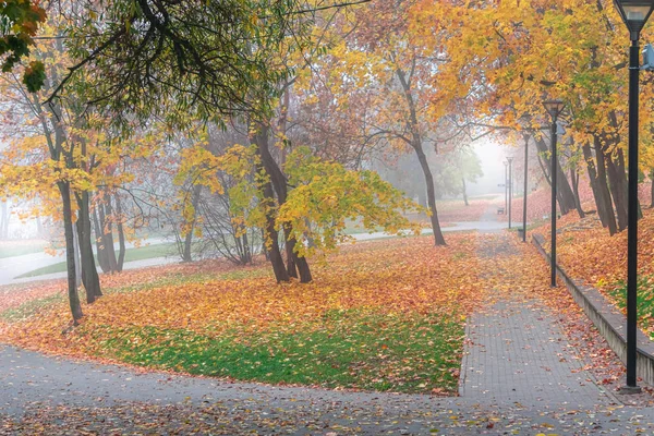 Kolorowe jesienne drzewa z liśćmi parku miejskiego we mgle, jesienny krajobraz — Zdjęcie stockowe