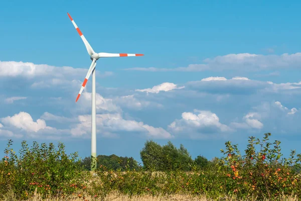 Wind turbine op mooie zonnige zomer of herfst. Groene ecologische energieopwekking — Stockfoto