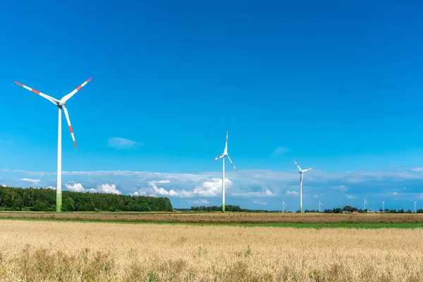 Wind turbines in agrarische velden op blauwe en bewolkte hemel achtergrond. Concept schone en hernieuwbare energie — Stockfoto