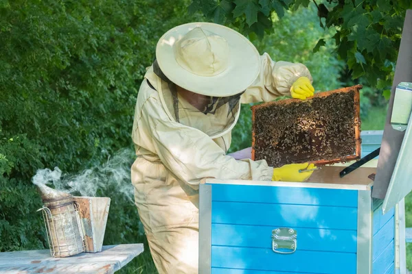 養蜂家は蜂の巣から蜂の巣を取り除く 養蜂家の人は蜂の巣から蜂蜜を取る 蜂のスーツを着た農家が蜂の巣で働いている 田舎で養蜂してる 有機農業 — ストック写真
