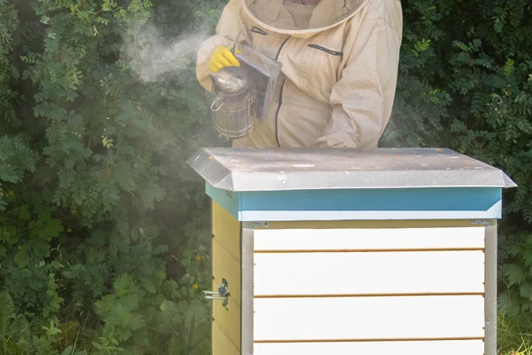 養蜂家は蜂の巣の近くに立って 蜂の喫煙者を保持する ビールスーツの人は 養蜂場の蜂に煙を吹いています 田舎で養蜂してる 有機農業の概念 — ストック写真