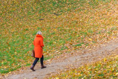 Kırmızı paltolu kadın çayırda yürüyor, renkli sonbahar yapraklarıyla dolu. Sonbahar arka planında kırmızılı bir kadın. Uzayı kopyala İnsan sonbahar renk kıyafet konsepti