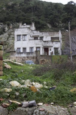 Bina yeşil arka plana sahip eski beyaz renkli cephe