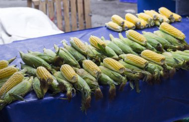 geleneksel Türk sokak ın Bazaarı Türkiye'de, Mısır