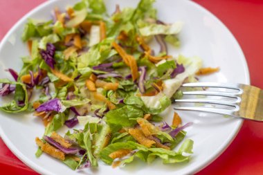 Yakın çekim beyaz tabak taze sebze salatası için üstten görünüm