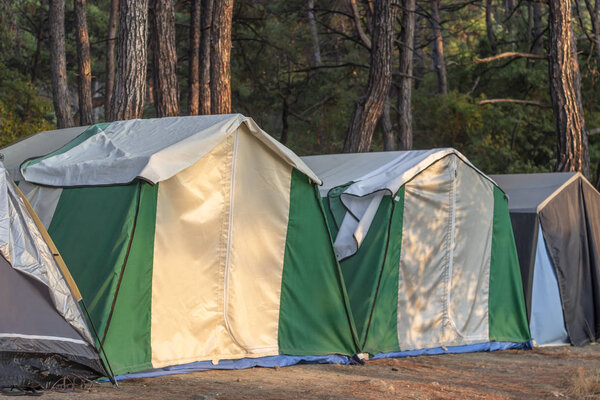 Перспективная съемка палаток на территории кемпинга в лесу на закате
