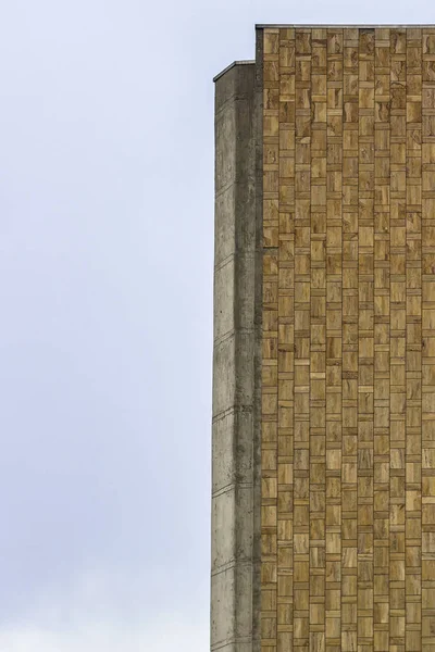 Pousse Verticale Marbre Jaune Mur Façade Vieux Bâtiment Béton — Photo