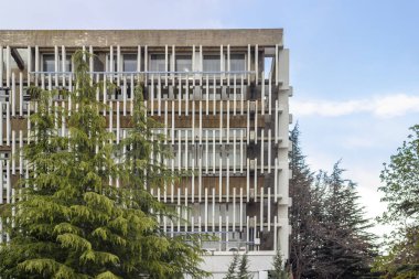 Ağaçlarla yatay modern tasarım beton gölgeleme elemanlarının yakın çekim yatay çekimi