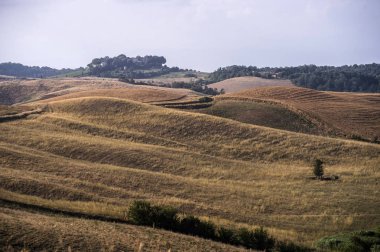 Toskana'nın altın tepelerde yaz, İtalya çiftlik ve manzara