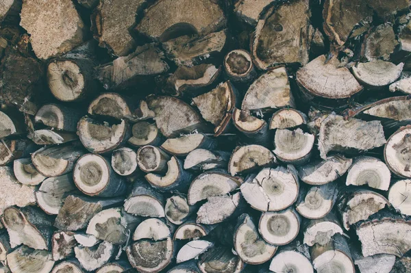 Kış için yakacak odun hazırlıyorum. Yakacak odun yığını. Keresteli doğal ahşap zemin.