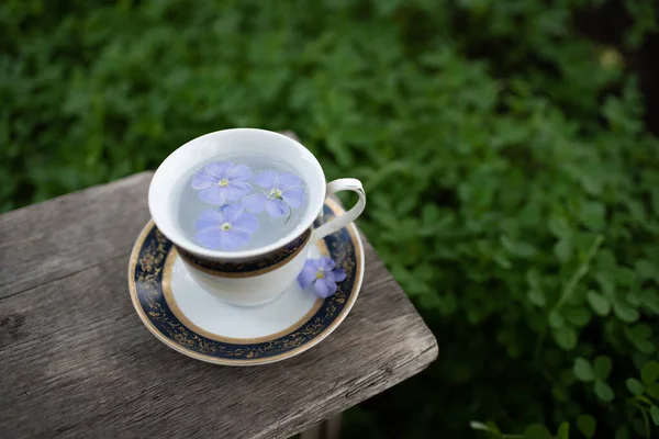 Tabağı ahşap bir bankta olan klasik bir fincan. Her amaçla harika bir tasarım. Klasik stil. 