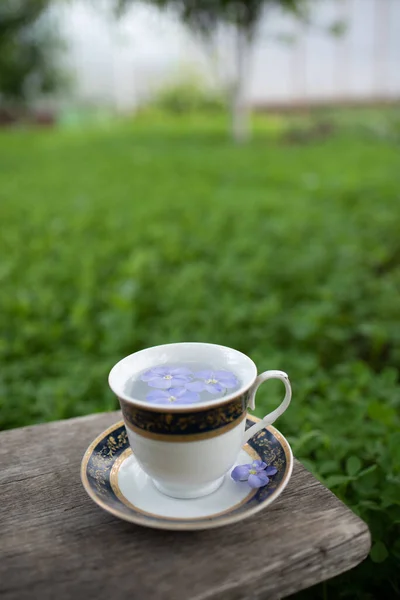 Vintage Cup Saucer Wooden Bench Great Design Any Purposes Vintage — Stock Photo, Image