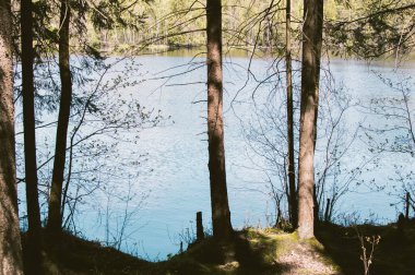 Ormanla çevrili mavi göl