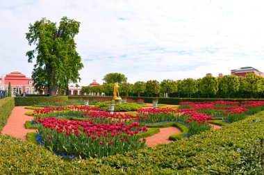 Peterhof'ta yaz, Saint Petersburg, Rusya Federasyonu