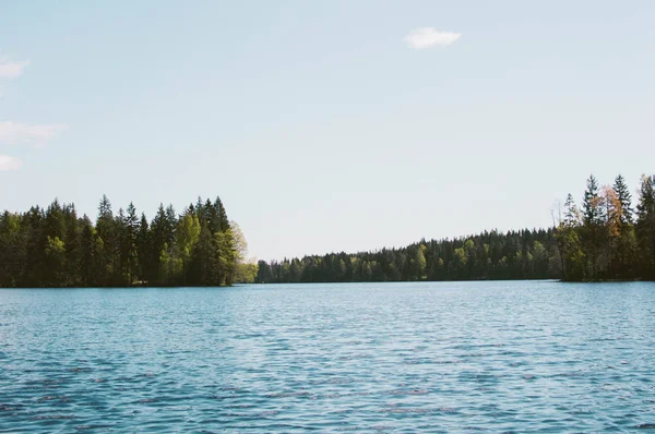 Lago Blu Circondato Dalla Foresta — Foto Stock