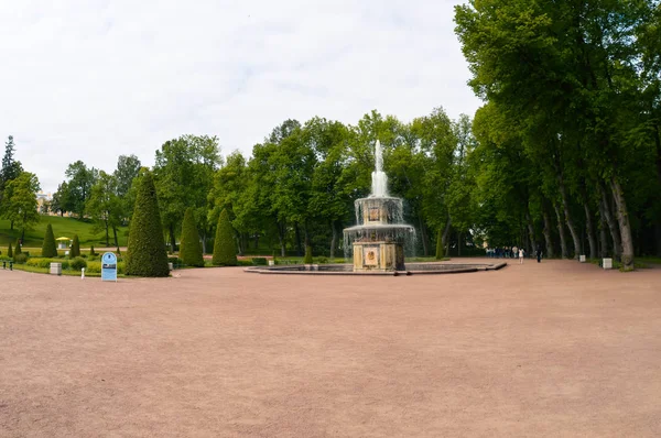 Verão Peterhof São Petersburgo Rússia — Fotografia de Stock