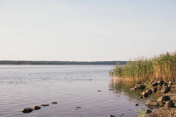 Krajobraz Rzeką Vuoksa Losevo — Zdjęcie stockowe