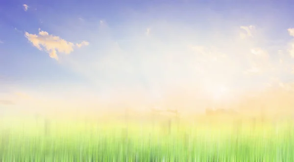 World environment day concept: Sun light and abstract blurred autumn sunrise background