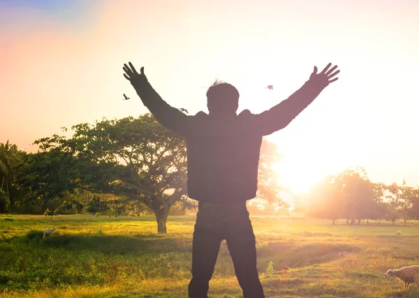 World Environment Day Concept Silhouette Humble Business Man Standing Mountain — Stock Photo, Image