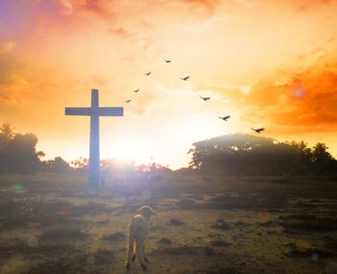 Paskalya kavramı: siluet Calvary dağ günbatımı arka plan üzerinde çapraz. 