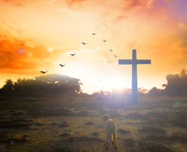 Metnin veya dekorasyonun için siyah ve beyaz duvar dokusu