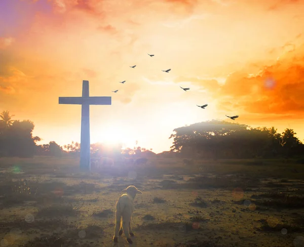 Paskalya kavramı: siluet Calvary dağ günbatımı arka plan üzerinde çapraz. 