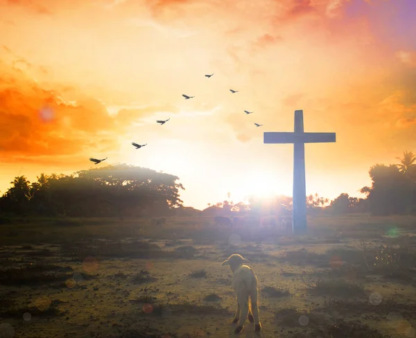 Metnin veya dekorasyonun için siyah ve beyaz duvar dokusu