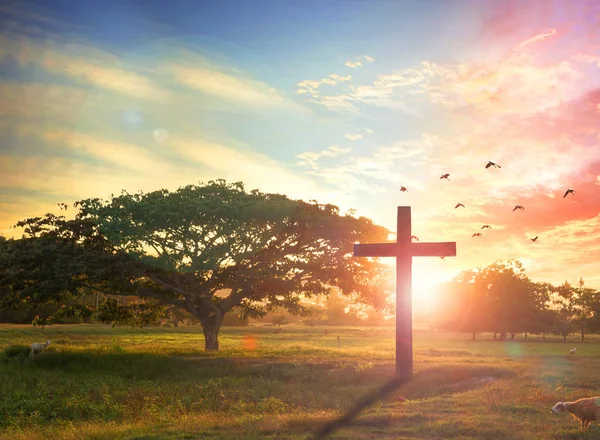 Concepto Resurrección Del Domingo Pascua Cruz Silueta Fondo Del Amanecer — Foto de Stock