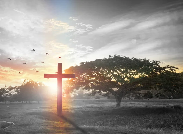 Resurrection Easter Sunday Concept Silhouette Cross Meadow Sunrise Background Stock Picture