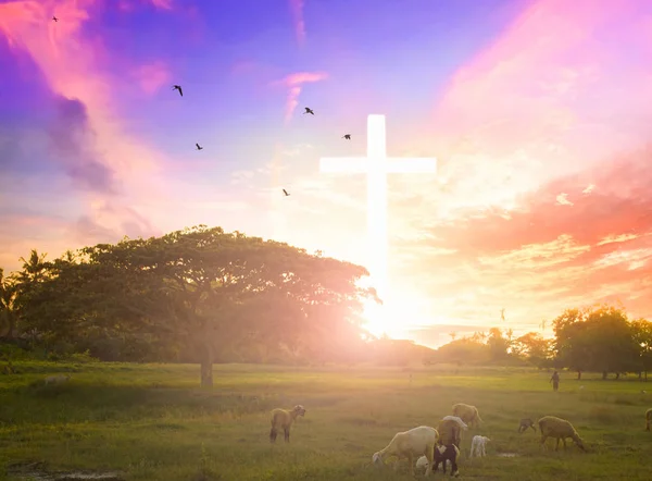 Ісус Христос Милосердя Хрест Фоні Гори Захід Сонця Він Переконання — стокове фото