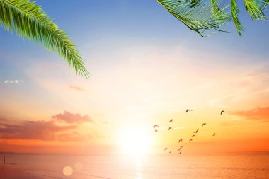 Tropikal plaj üzerinde sanat güzel gün batımı
