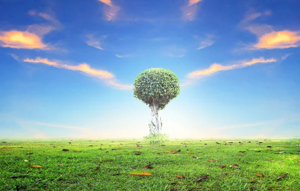 Concepto Del Día Mundial Del Medio Ambiente Árbol Solo Sobre — Foto de Stock